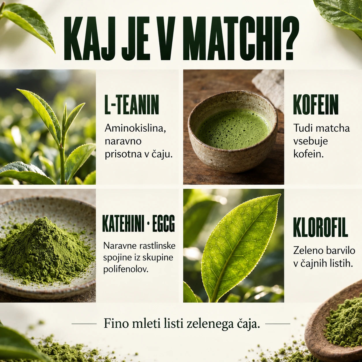 Kaj je v matchi? L-teanin: aminokislina v čaju. Kofein. Katehini, med njimi EGCG: polifenoli. Klorofil: zeleno barvilo v listih.